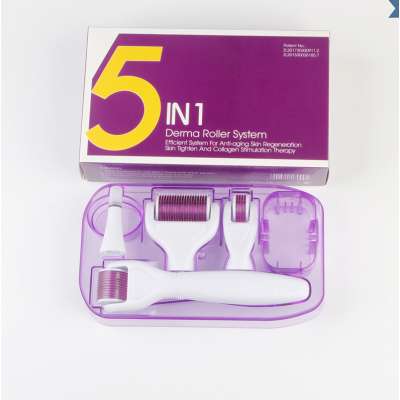 Drs Dermaroller System 5 in 1 Titanium Derma Roller Scar Facial Beauty Roller Brush Skin Care Kit